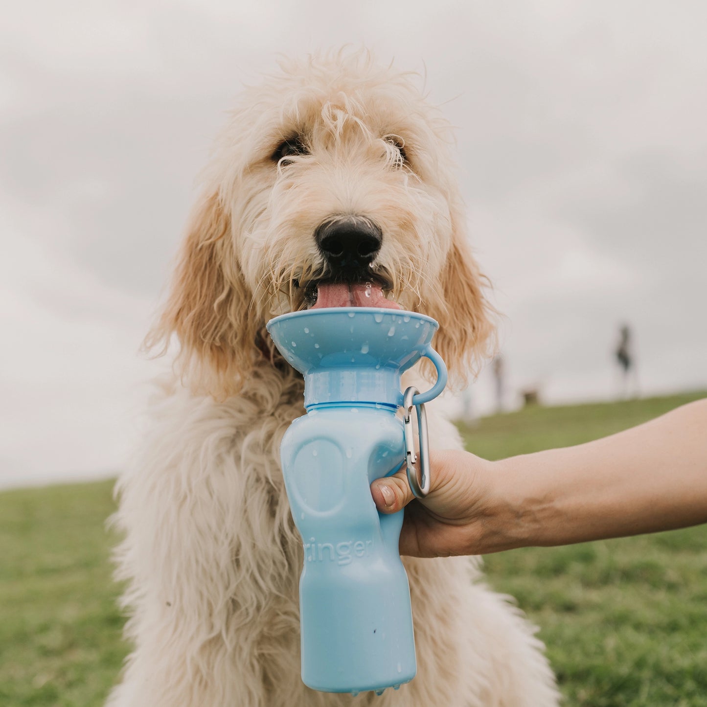 Travel Water Bottle - Classic 22oz