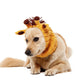 Giraffe Zoo Snood