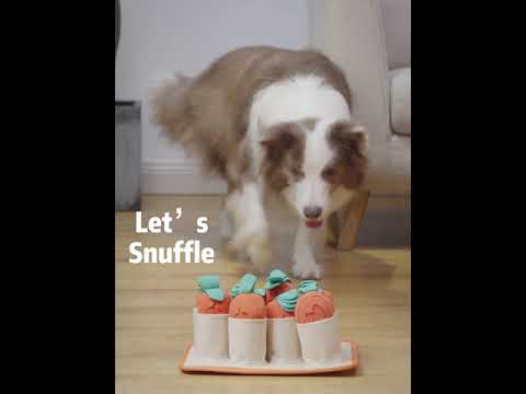 Injoya Take Out Snuffle Toy Dog Toy