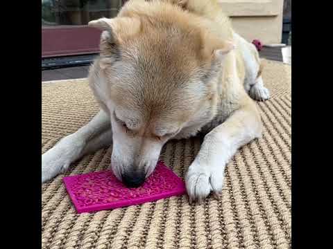 Cat Enrichment - Lick Mats