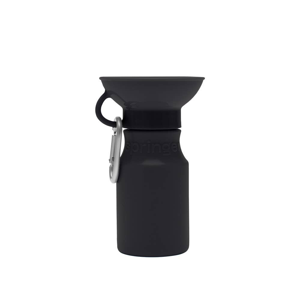 Travel Water Bottle - Mini 15oz