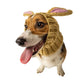 Jack Rabbit Zoo Snood