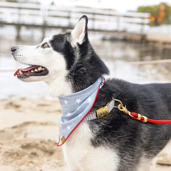 Liberty Bandana