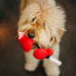 Furever Hearts - Puppy Love Collection