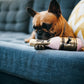 Barking Bubbly - Puppy Love Collection
