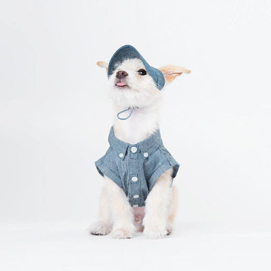 A white dog in a striped short-sleeved denim shirt with a matching sun visor.