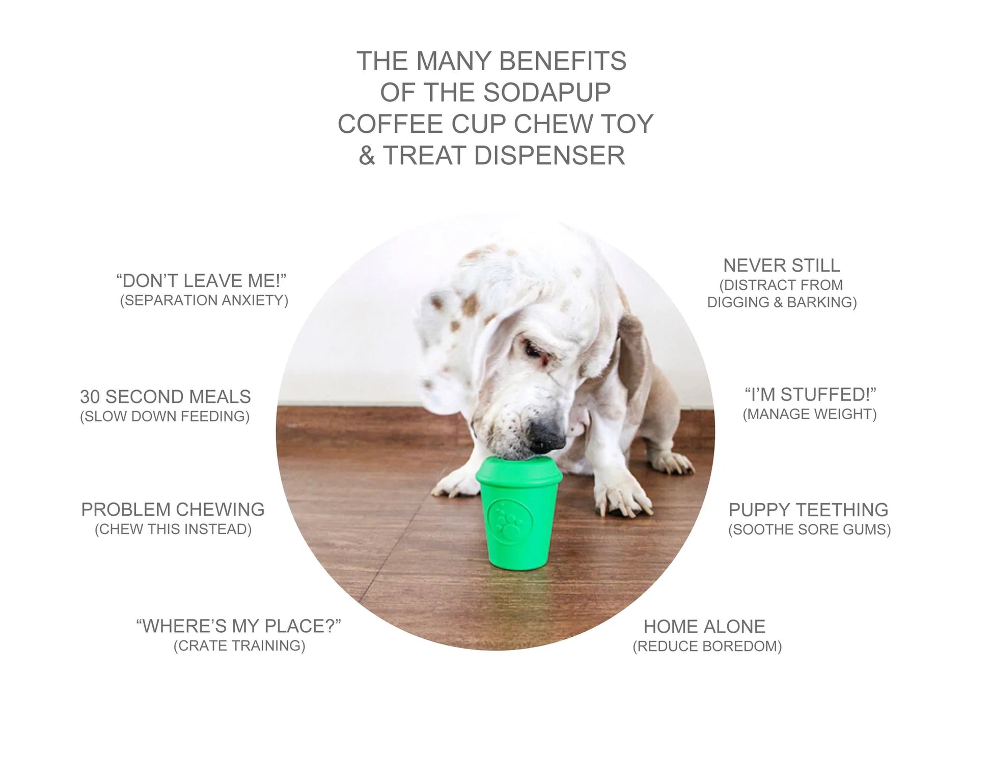 https://shoptudou.com/cdn/shop/products/sodapup-dog-toys-sp-coffee-cup-durable-rubber-chew-toy-and-treat-dispenser-4117482962989_1024x1024_2x_53a000ba-6d78-4c52-bb12-dd32bf41ca02.webp?v=1655828765&width=1946
