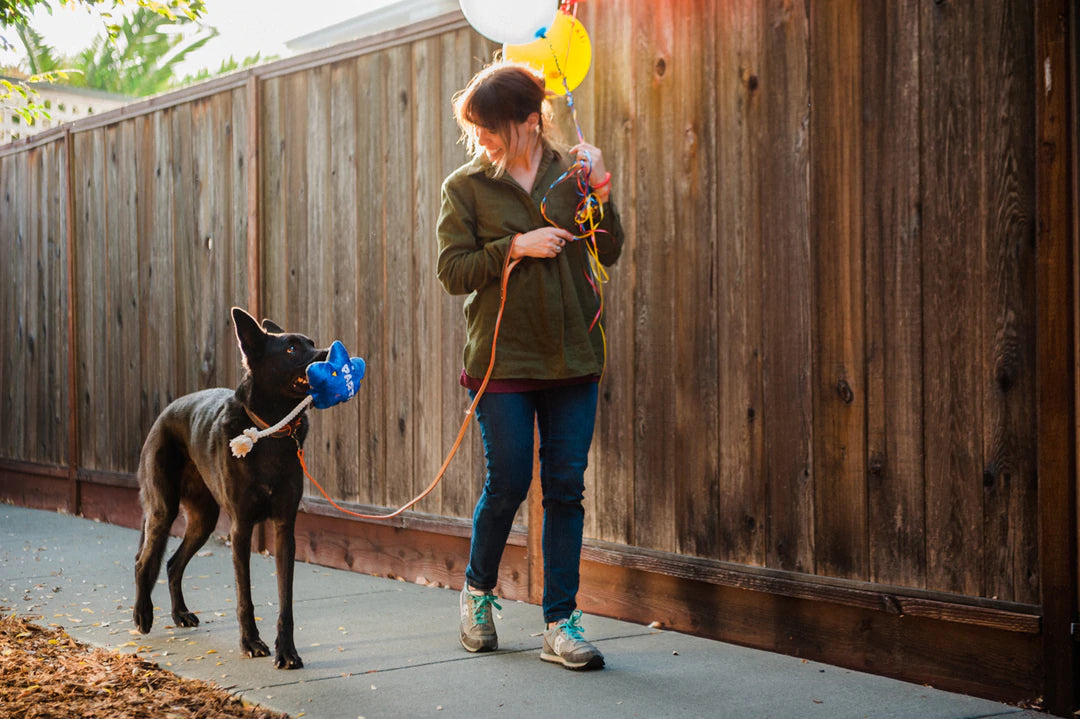 Best Day Ever Balloon - Party Time Collection