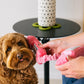 Paw Talk - 80s Classics Collection