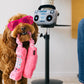 Paw Talk - 80s Classics Collection