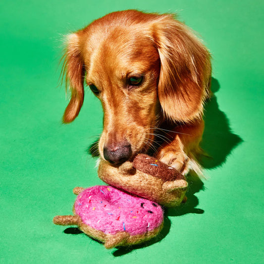 Boiled Wool Donut Pair Dog Toy